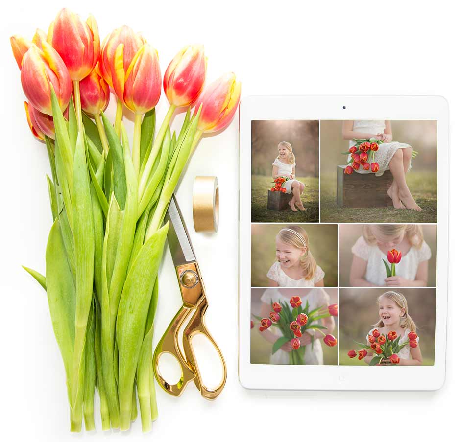 Collage of tulips alongside an iPad with photos.