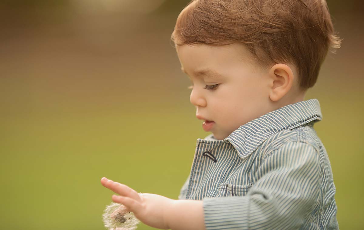 Little boy playing with a dandelion.