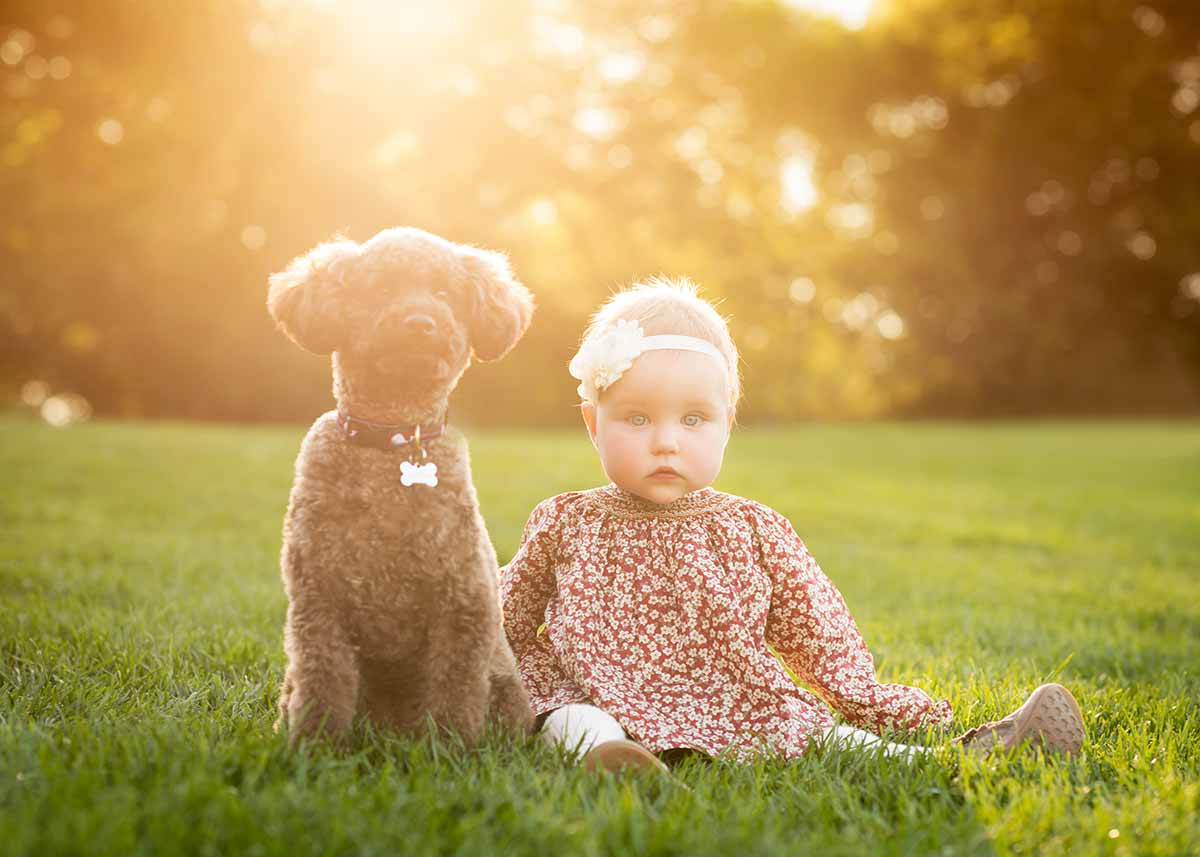 A toddler girl with headband posing for a baby portrait with her puppy in a park.