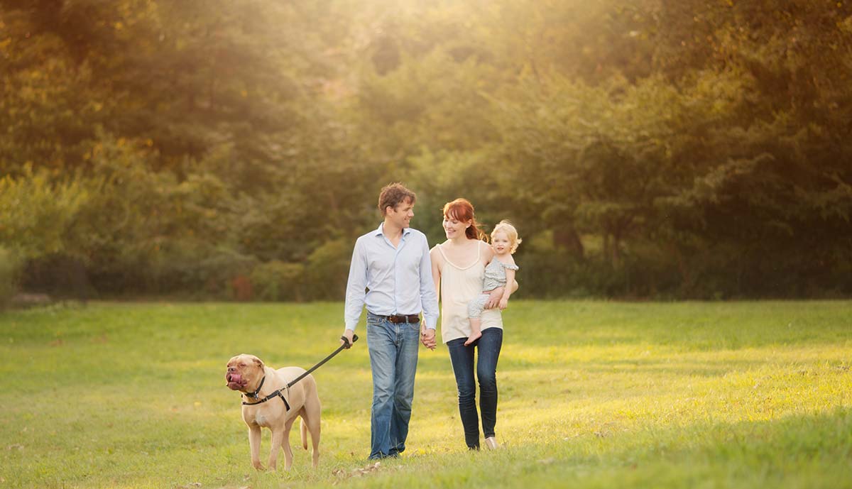 Lifestyle photo of a family walking in park with their baby and their dog.