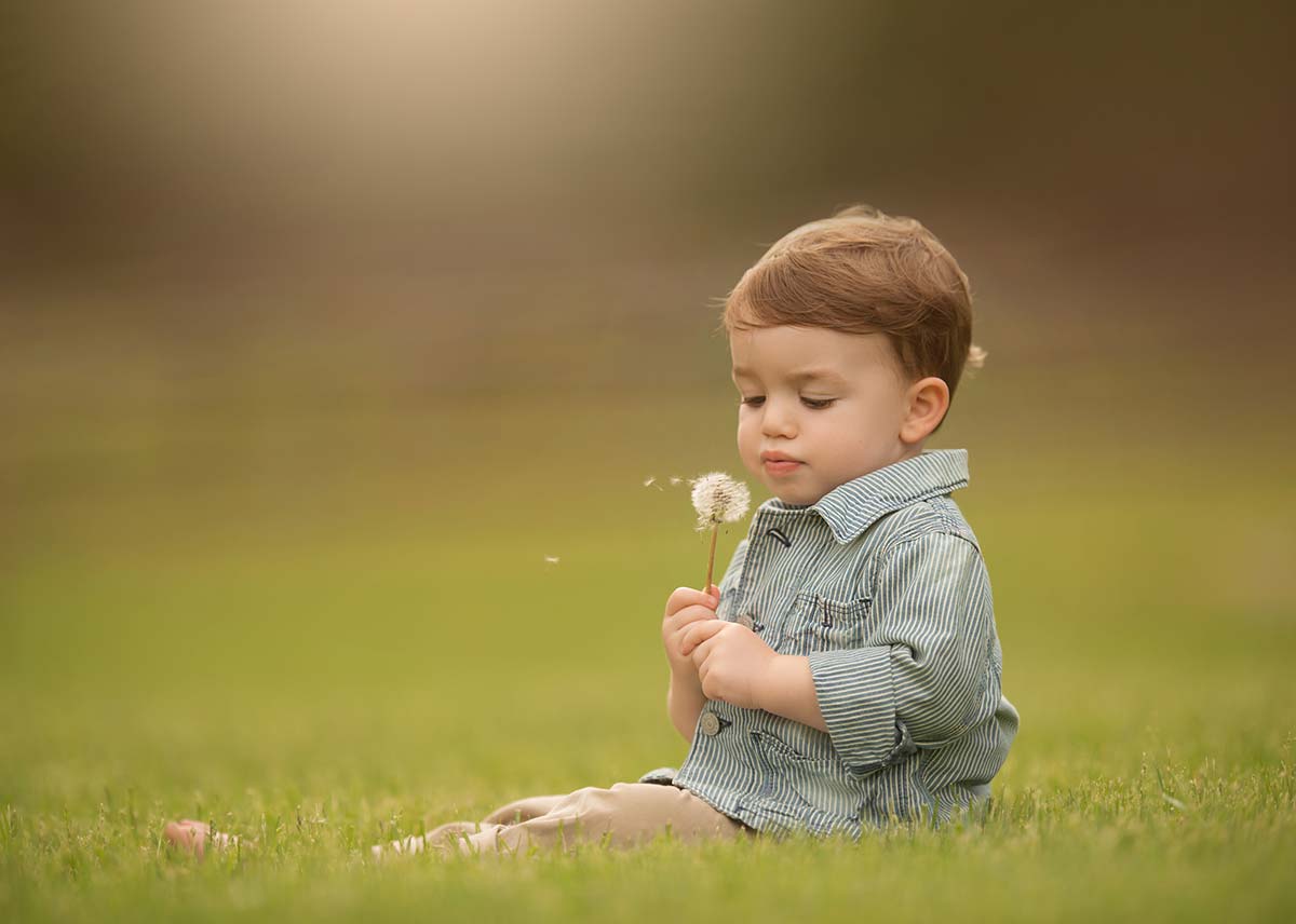 Young boy sitting in a grass field and holding a dandelion