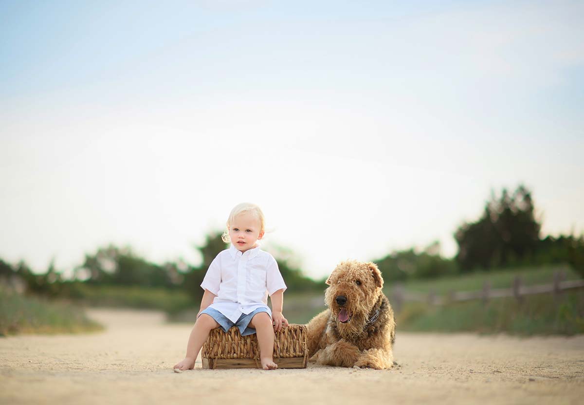 A cute boy sitting on a basket along with is pet dog