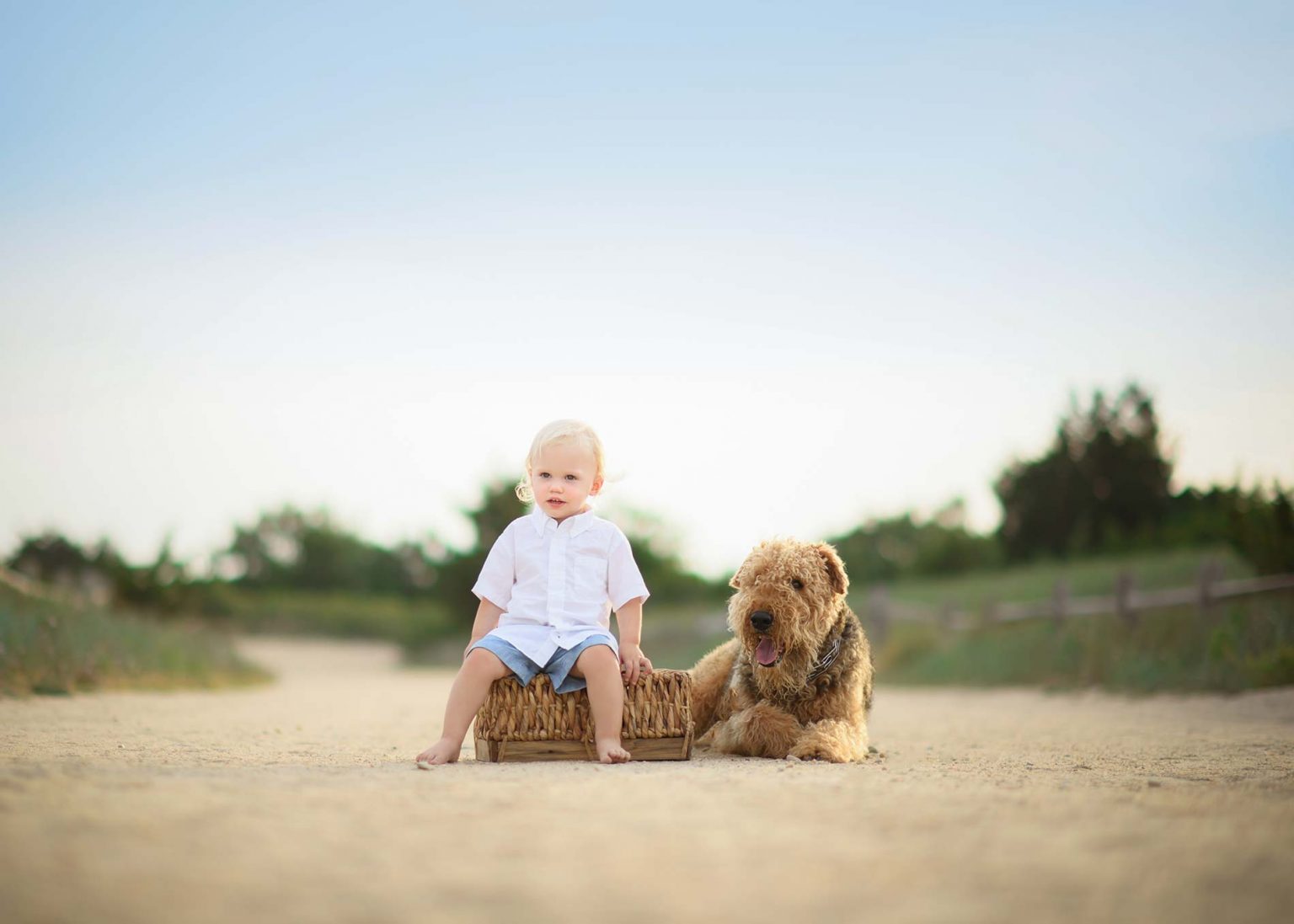 A toddler and his dog in the Hamptons, NY