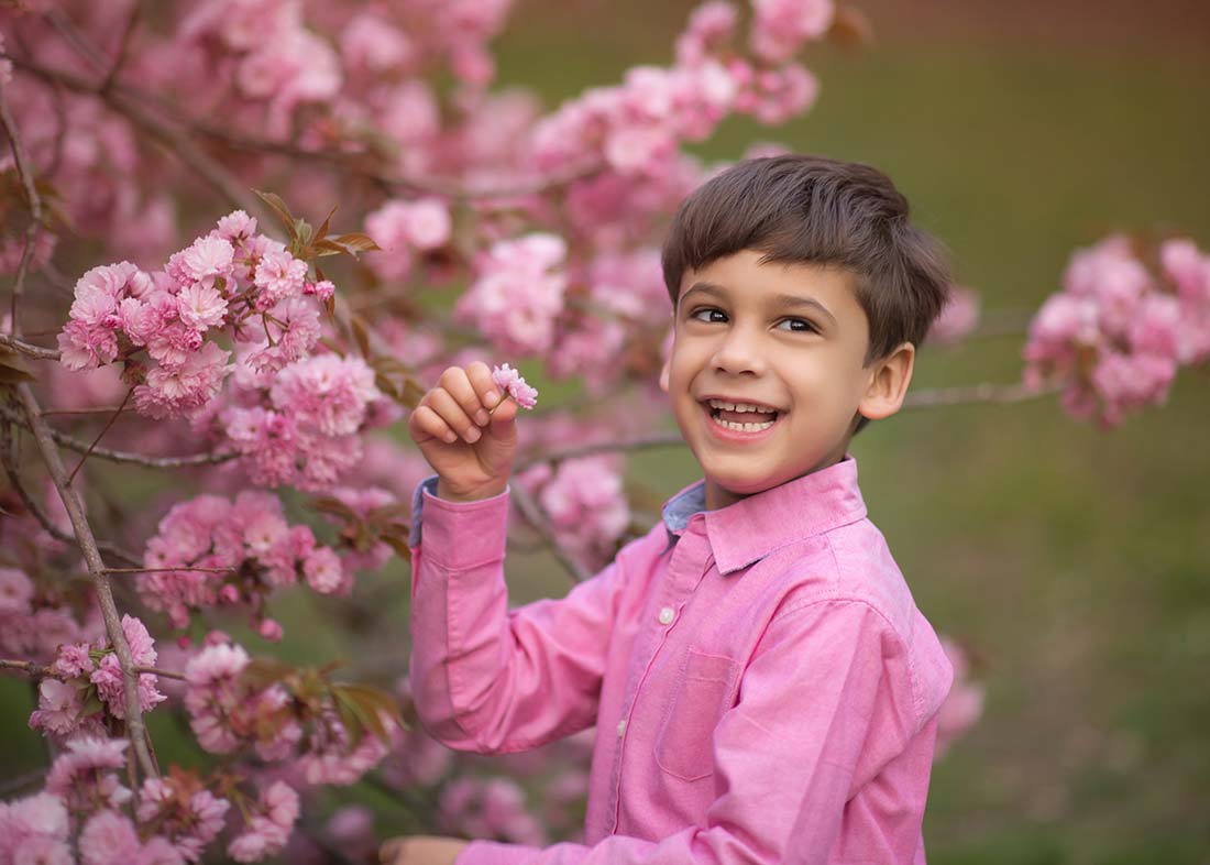 A smiling young boy in a pink shirt stands next to a tree covered in pink blossoms, holding one of the flowers. Captured by a lifestyle photographer, this springtime moment pops against the blurred green backdrop.