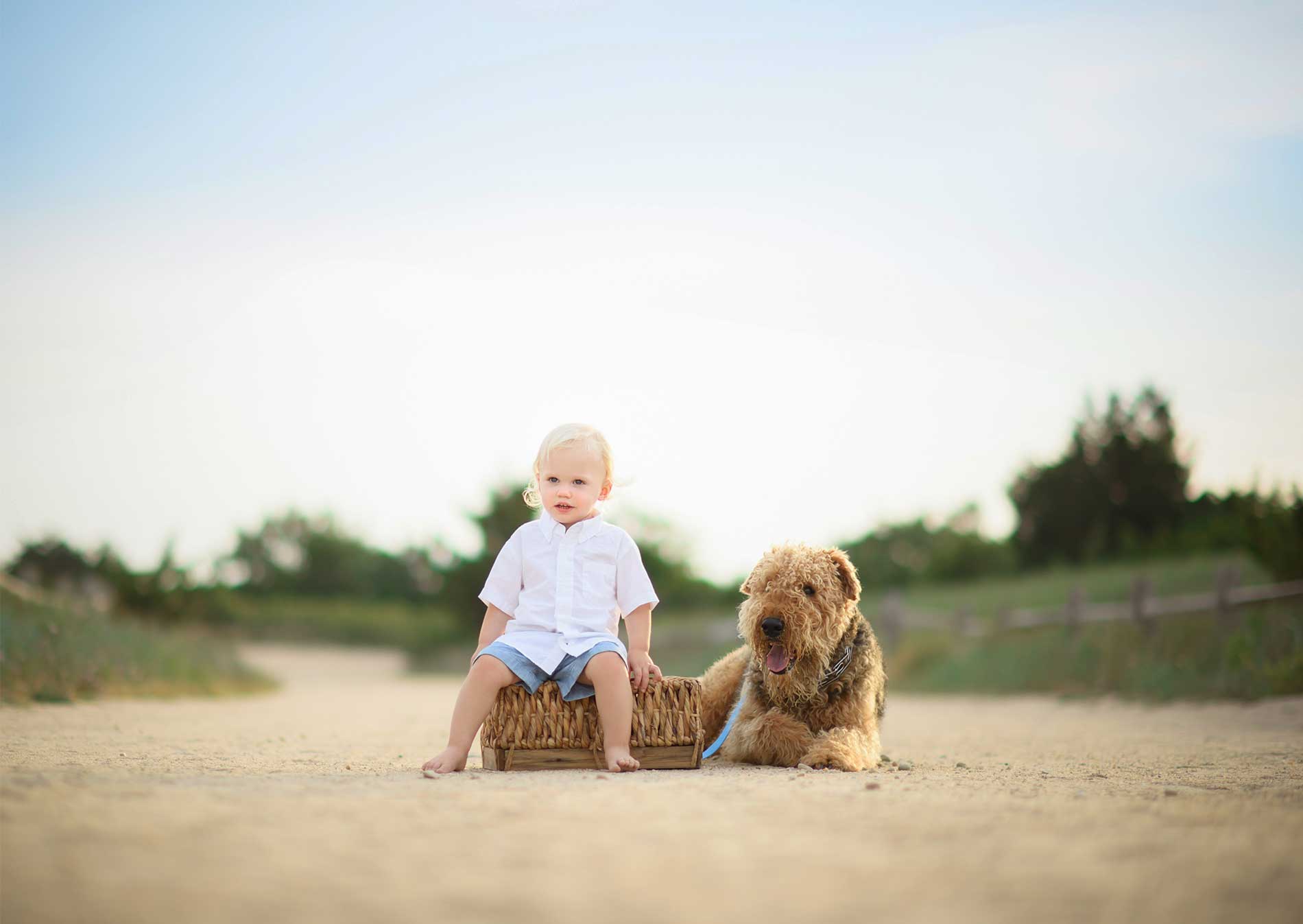 A toddler wearing a white shirt and blue shorts sits on a wicker basket on a sandy path, with a large, fluffy dog lying next to him. Capturing this serene moment, the Hamptons photographer ensures the background includes lush greenery and a beautifully cloudy sky.