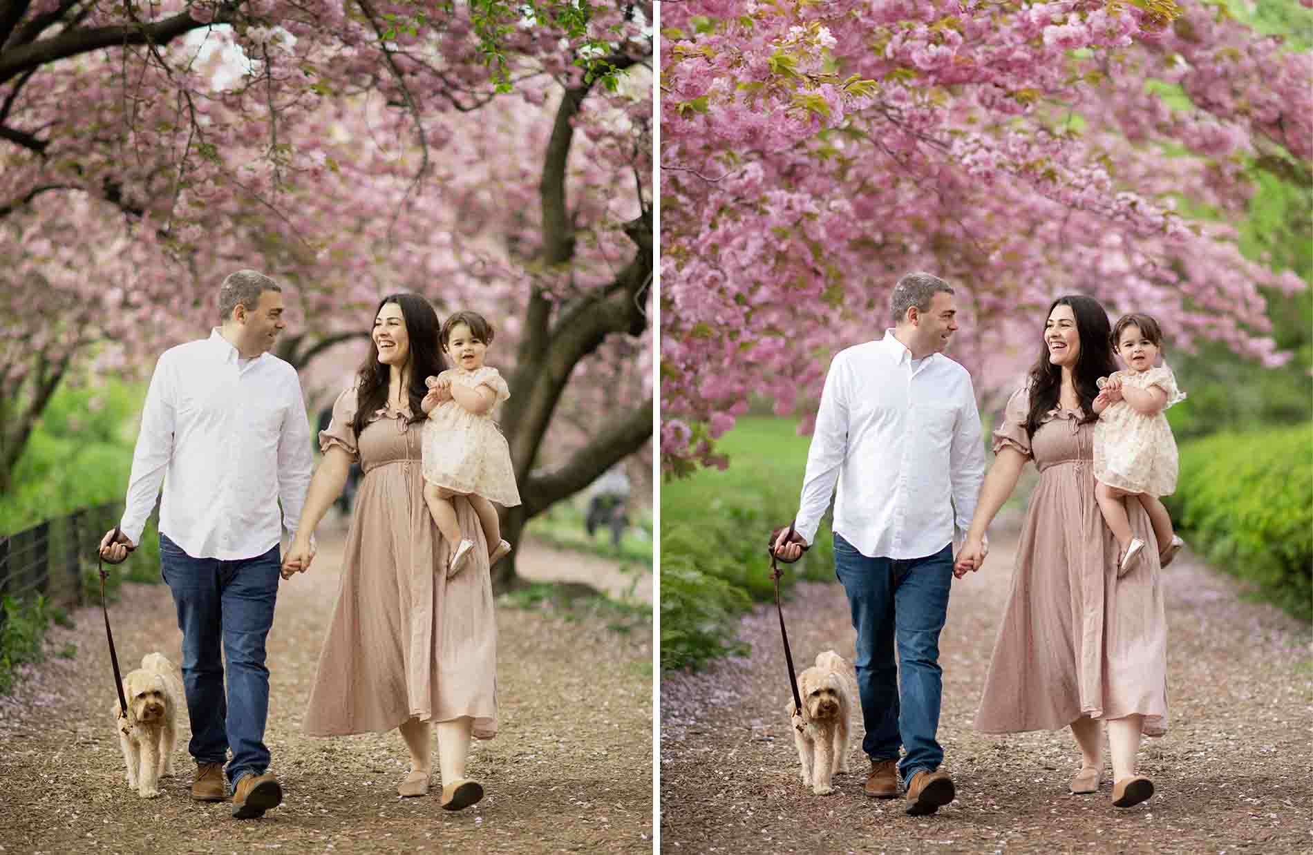 Two side-by-side photos of a couple walking hand-in-hand on a tree-lined path with pink blossoms, holding their daughter and a dog on a leash. This before and after image comparison shows the mother in a flowing beige dress while the father wears a white shirt and jeans. The family appears joyful.
